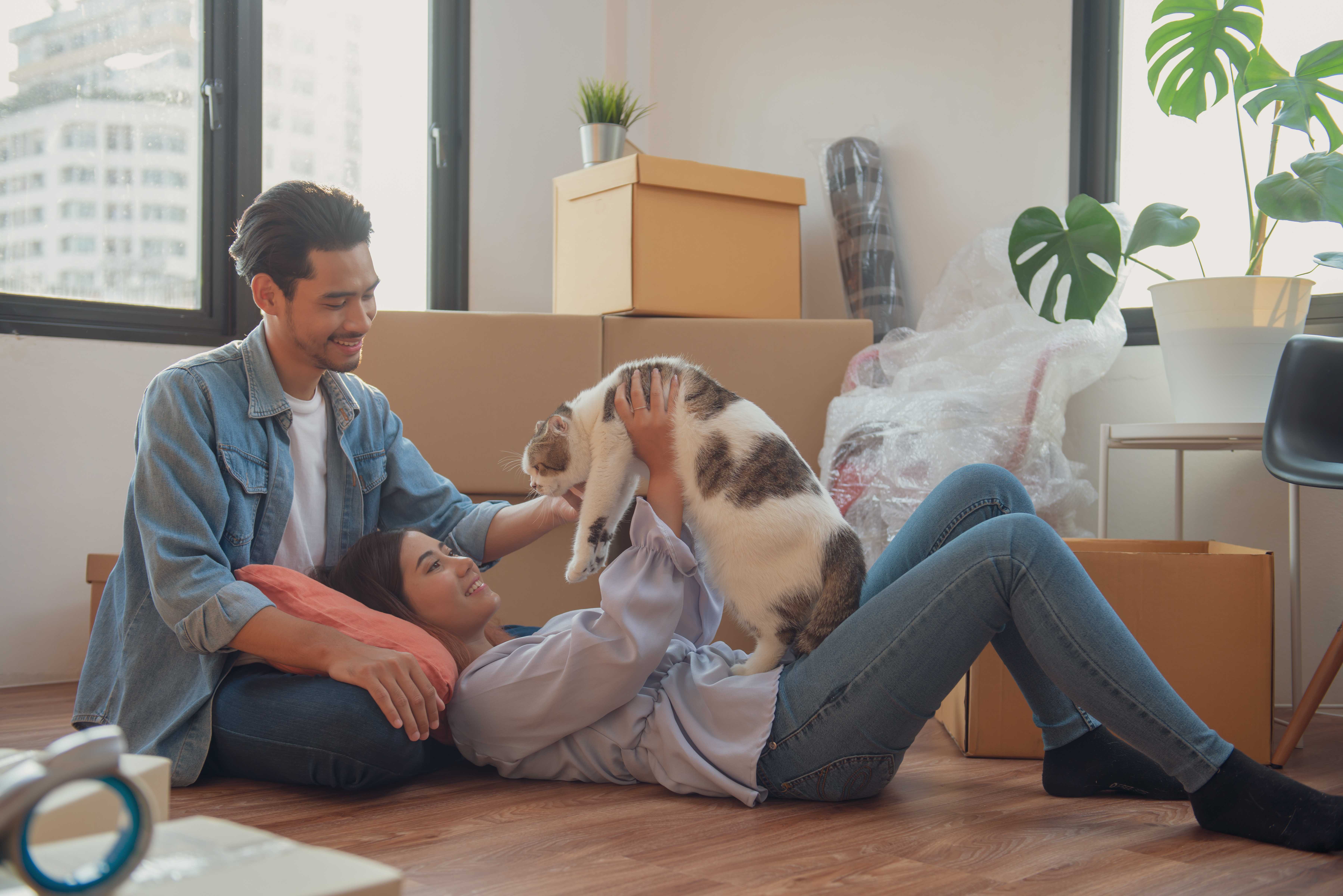 6 conseils pour déménager avec son chat 